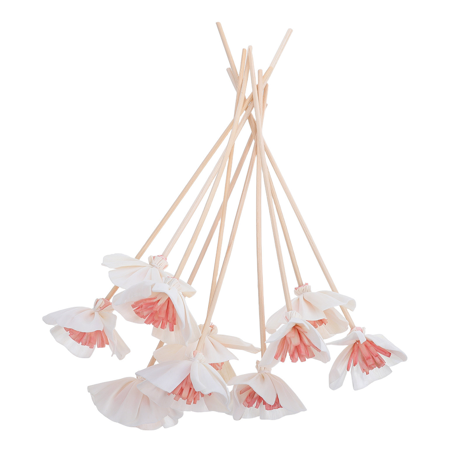 Home Fragrance Diffuser Oil - 10 bâtonnets diffuseurs d'huiles essentielles noirs