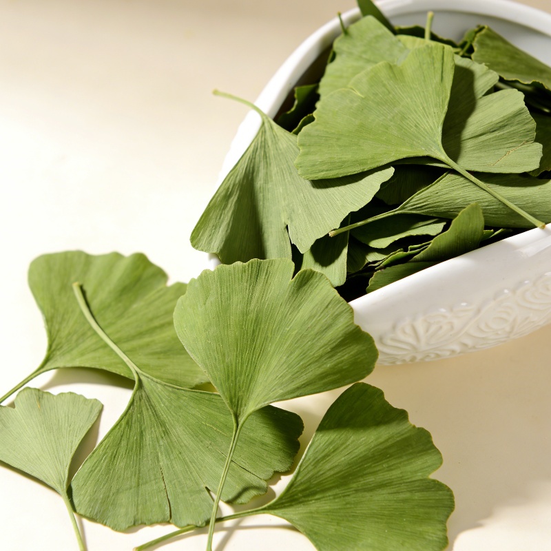 Feuilles de Ginkgo Biloba séch - Quality Home Fragrance avis et prix