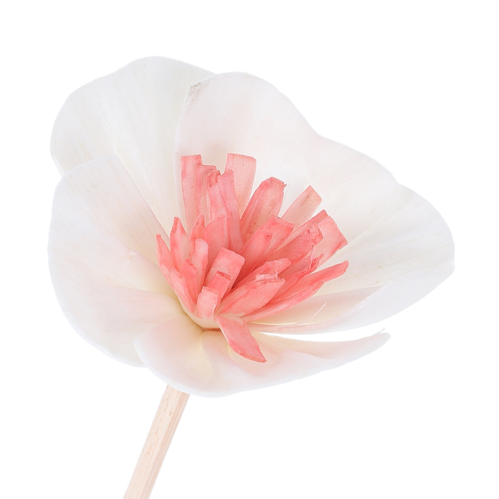 10 bâtonnets diffuseurs d'huil - Home Fragrance Diffuser Oil avis et prix