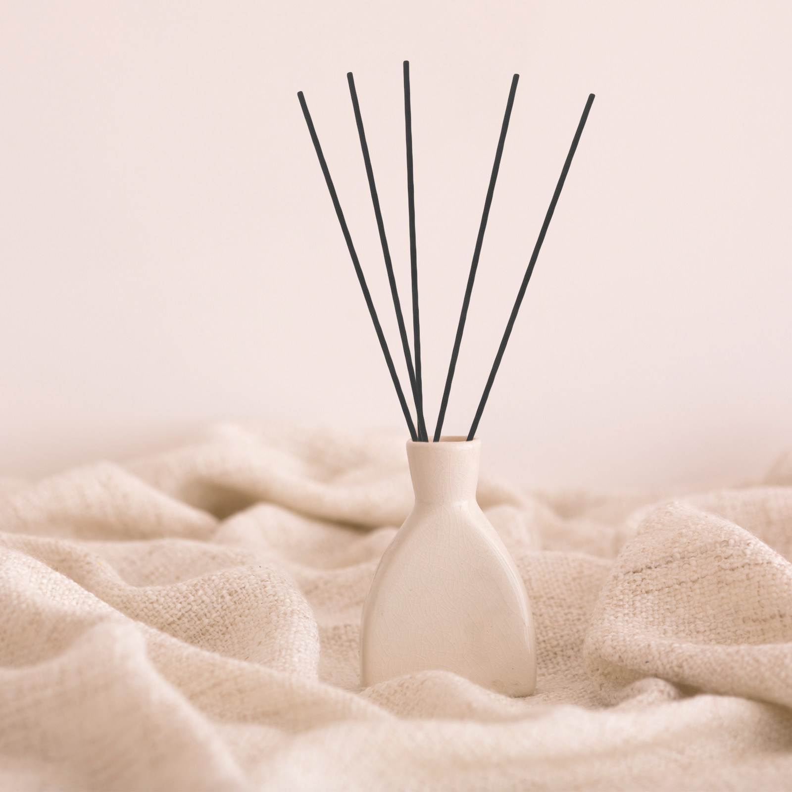 100 bâtonnets diffuseurs en fi - Home Fragrance Diffuser Oil avis et prix